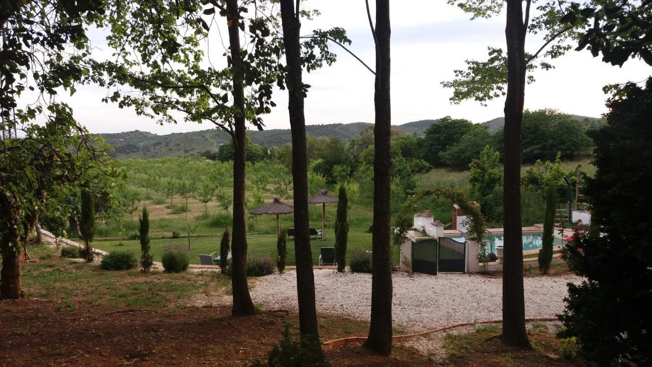 Finca La Favorita- Suites (Adults Only) Constantina Exterior foto